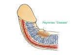 ScarAndPlaqueDiagram2WEB