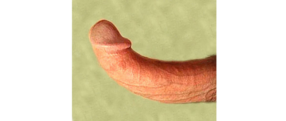 Dick curved Curved cock