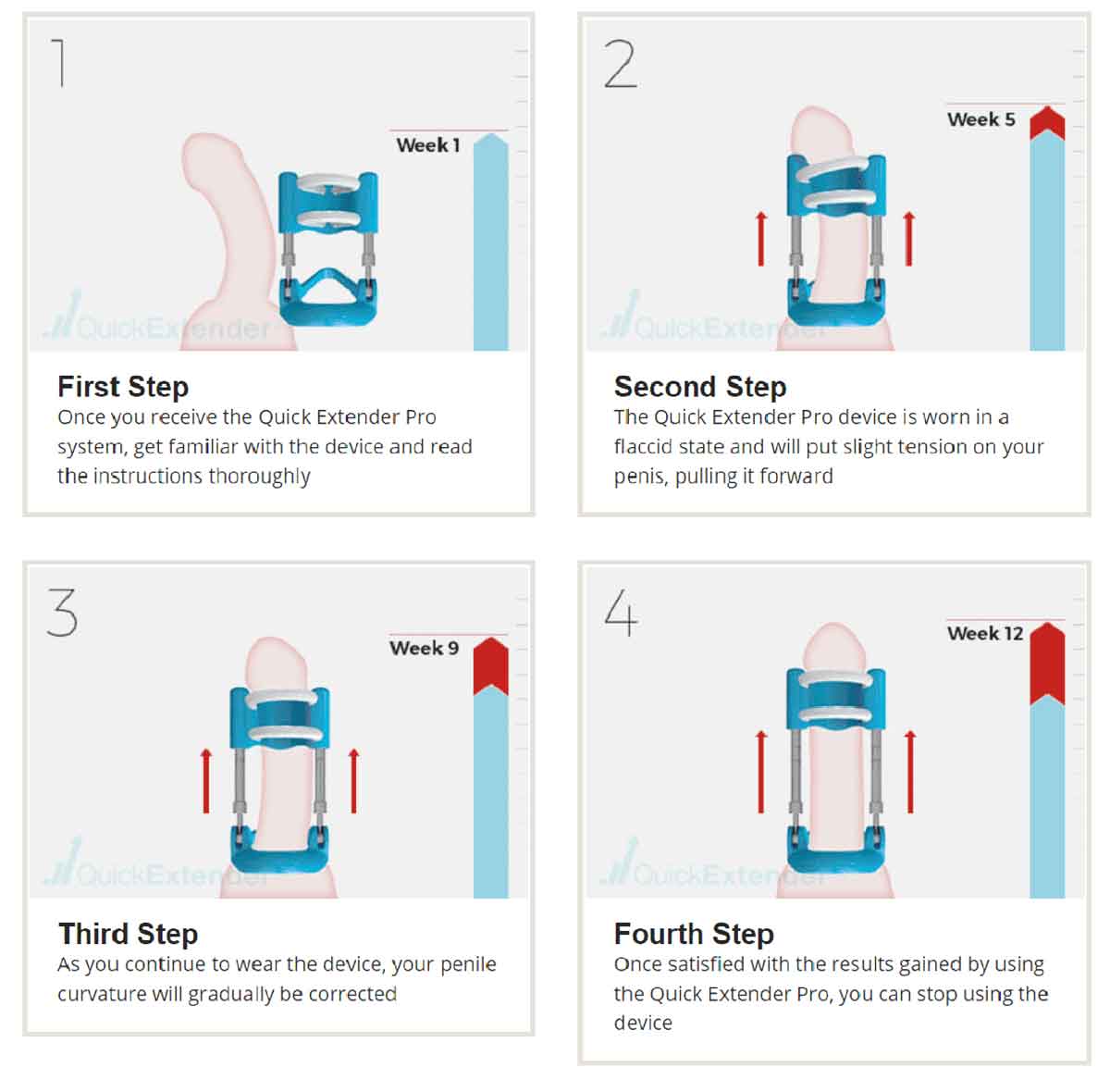 how penis traction works